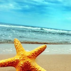 Meet your Posher, Rhonda